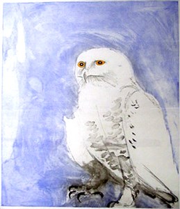 Image description is not available for 1980.041